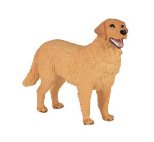 Mojo Golden Retriever