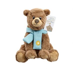 Regenbogen Wir gehen auf die Jagd Teddybär