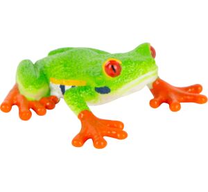 Mojo Rotaugenlaubfrosch