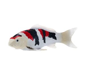 Mojo Karpfen Koi Showa Sanshoku