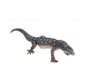 Mojo Riesenwaran