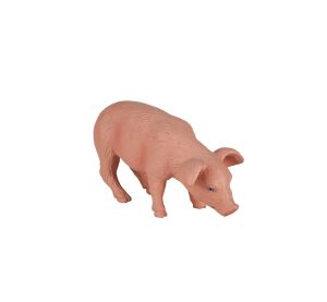 Mojo Schwein fressen