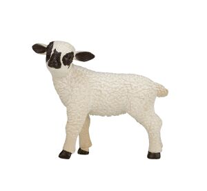 Mojo Hampshire-Lamm stehend