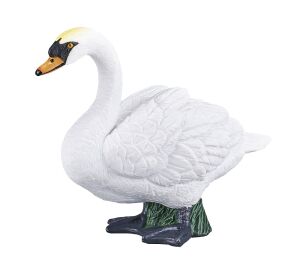 Mojo Höckerschwan