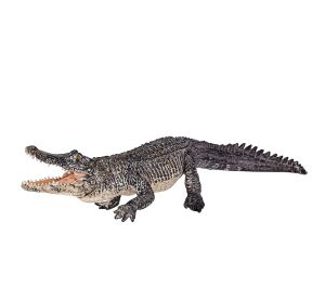 Mojo Alligator
