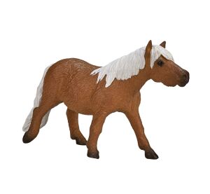 Mojo Shetlandpony
