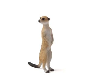 Mojo Erdmännchen