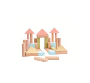 PlanToys Bauklötze 40 Stück