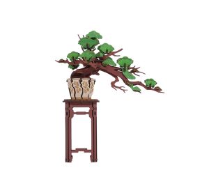 RoboTime 3D-Holzpuzzle Bonsai Kiefer