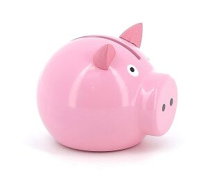 Vilac Sparschwein rosa