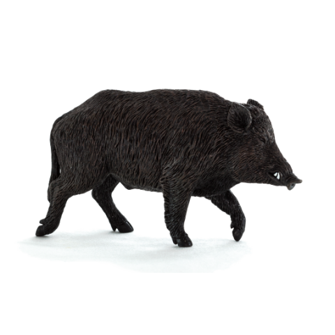 Mojo Wildschwein