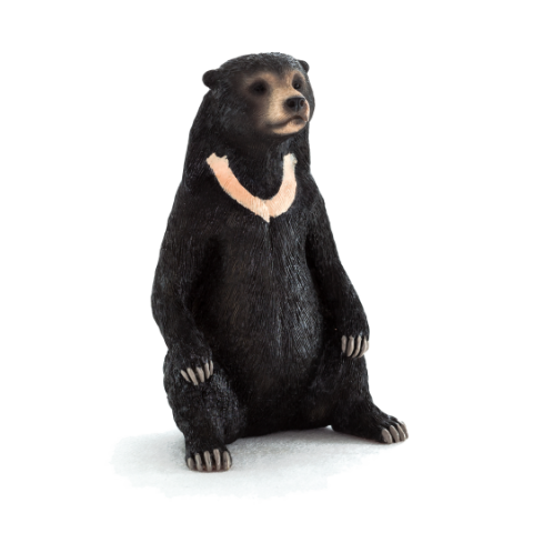 Mojo Malaienbär