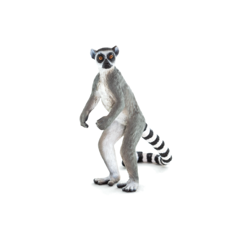 Mojo Katta
