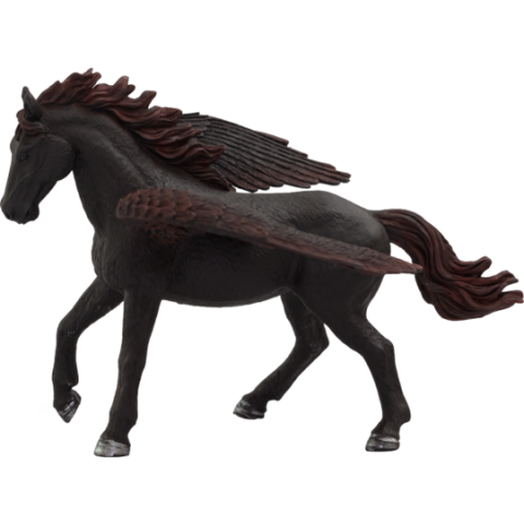 Mojo Pegasus schwarz