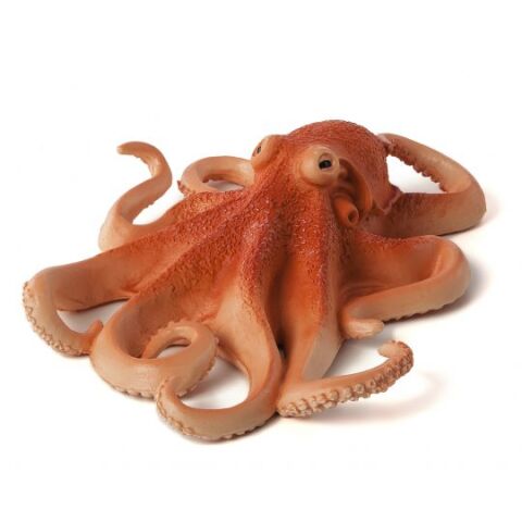 Mojo Oktopus dunkel
