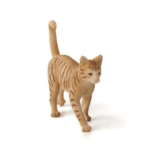 Mojo Rote Tabby Katze