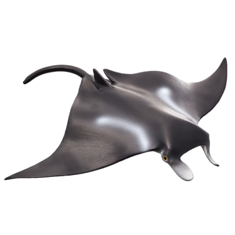 Mojo Riesenmanta