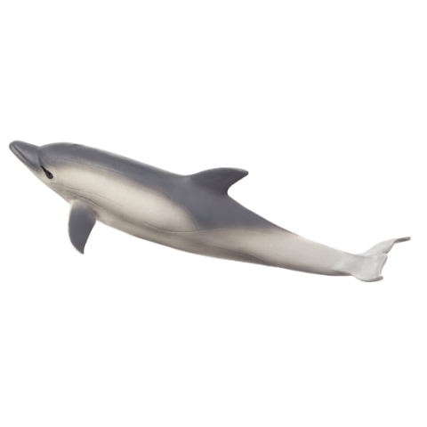Mojo Delfin