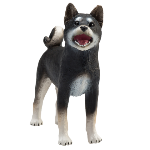 Mojo Hund Shiba schwarz