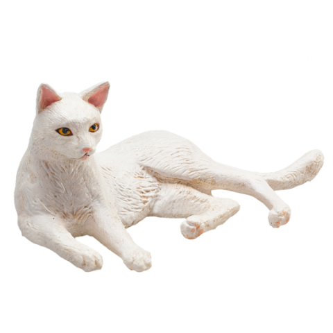 Mojo Katze weiß liegend