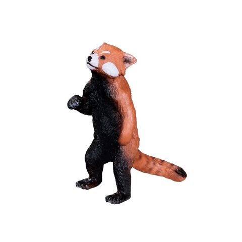 Mojo Westlicher Kleiner Panda