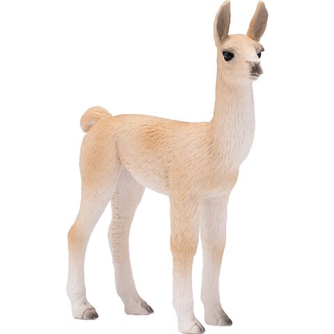 Mojo Llama Cria