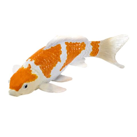 Mojo Karpfen Koi Ochiba Shigure