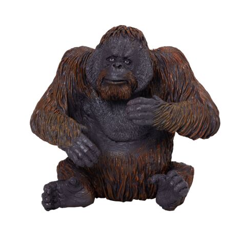 Mojo Orang-Utan