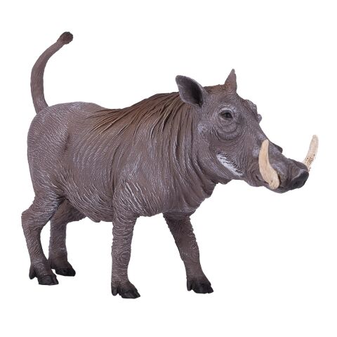 Mojo Savannah-Schwein
