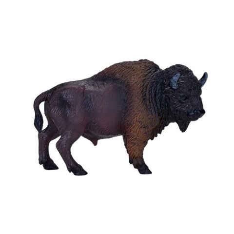 Mojo Amerikanisches Bison Weibchen