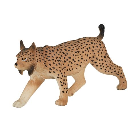 Mojo Eurasischer Luchs