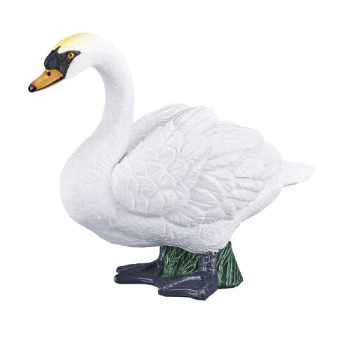 Mojo Höckerschwan