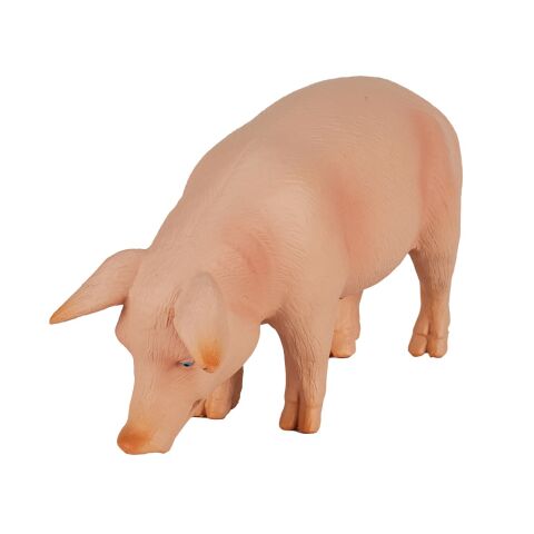 Mojo Schwein