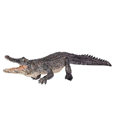 Mojo Alligator