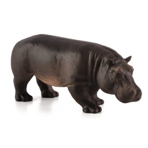 Mojo Nilpferd Weibchen