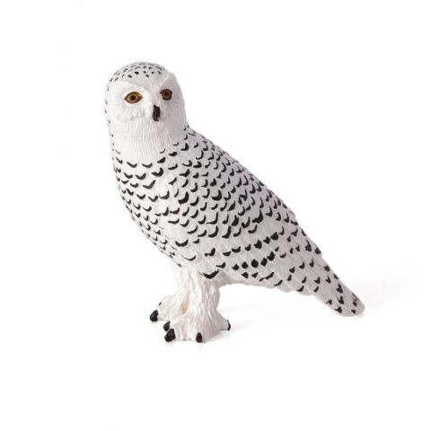 Mojo Schneeeule