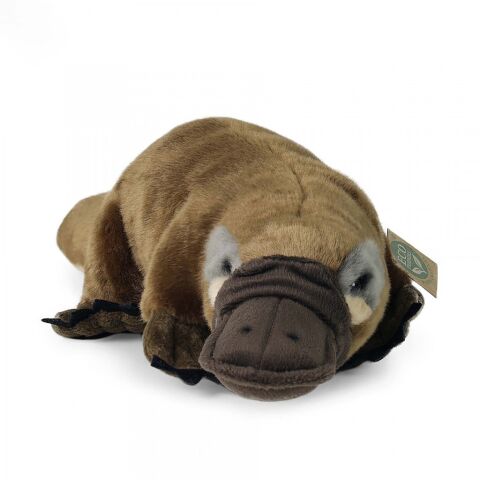 Rappa Plüsch-Schnabeltier 30 cm ECO-FRIENDLY