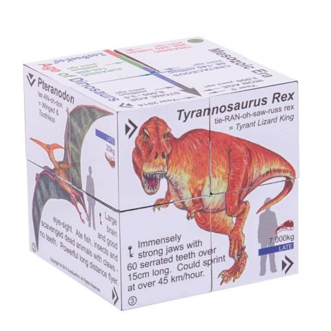 Zoobookoo Buch in Kürze Dinosaurier